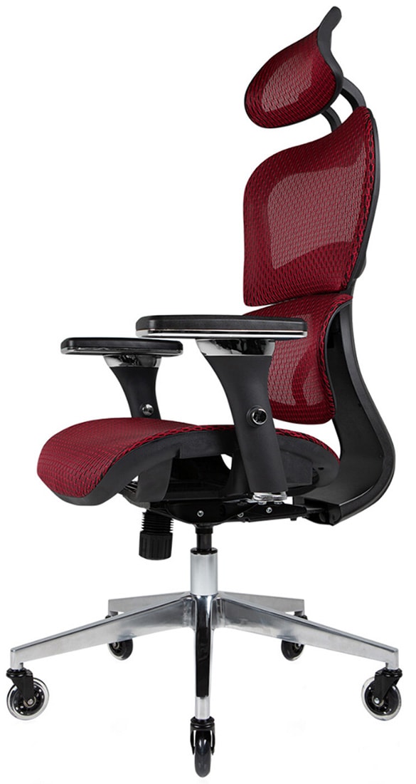 NOUHAUS Ergo3D Burgundy Colorway